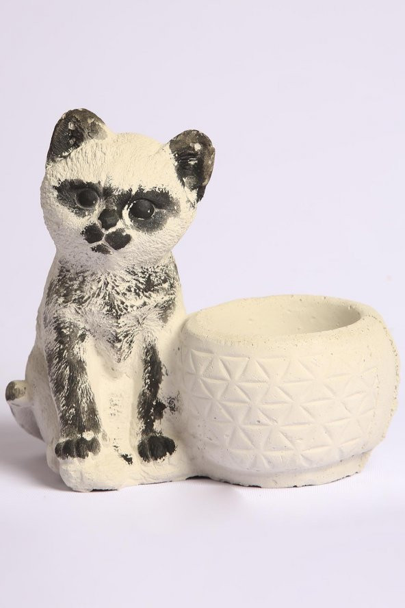 Beton Saksı Siyah Kedi Figürlü Kaktüs Sükulent Saksısı - 2