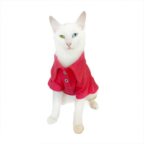 RL Pink Navy Polo Yaka Tişört Kedi Kıyafeti  Kedi Elbisesi - 4