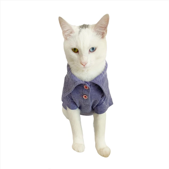 RL Denim Blue Polo Yaka Tişört Kedi Kıyafeti  Kedi Elbisesi - 7