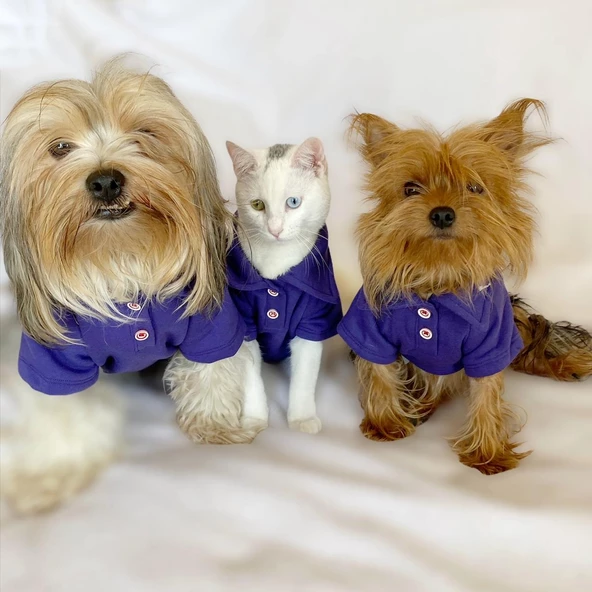 RL Purple Yellow Polo Yaka Tişört Köpek Kıyafeti Köpek Elbisesi - 8