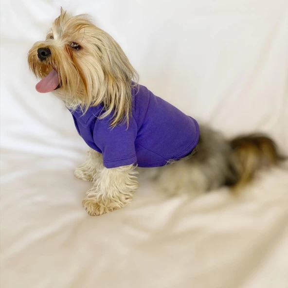 RL Purple Yellow Polo Yaka Tişört Köpek Kıyafeti Köpek Elbisesi - 7
