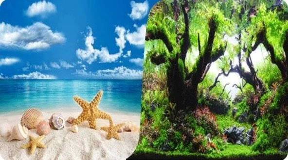 Akvaryum Arka Fon 3 Boyutlu Manzara Çift Taraflı Deniz ve Bitki 60cm 1metre ürün görseli 1