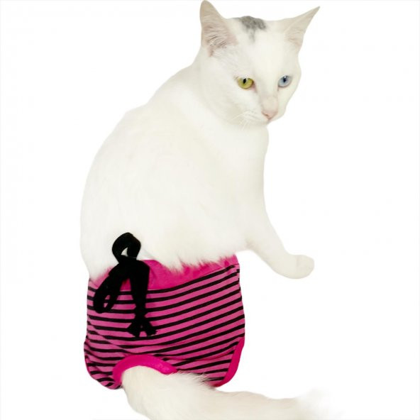 Purple Stripe Kedi İç Çamaşırı  Regl Külot  Don
