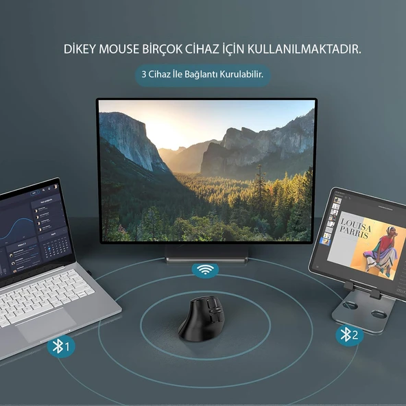 TriLine Bluetooth+2.4G Kablosuz Dikey Ergonomik Şarj Edilebilir Sessiz Mouse - 9