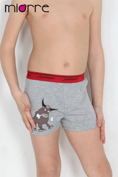 Miorre Erkek Çocuk Boxer - 6