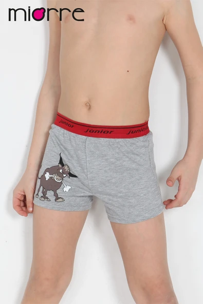 Miorre Erkek Çocuk Boxer - 5