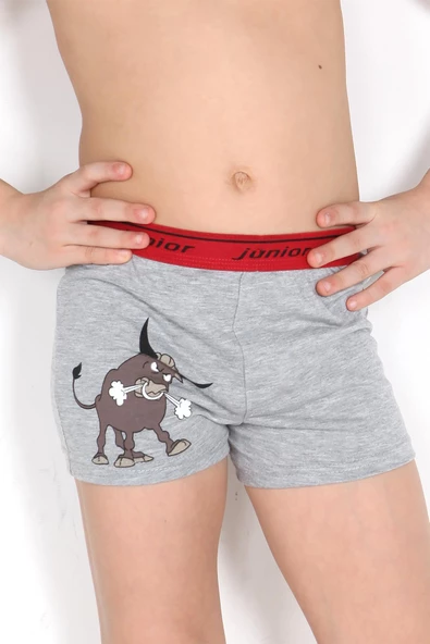 Miorre Erkek Çocuk Boxer - 2