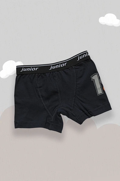 Miorre Boxer Erkek Çocuk 44005 - 1