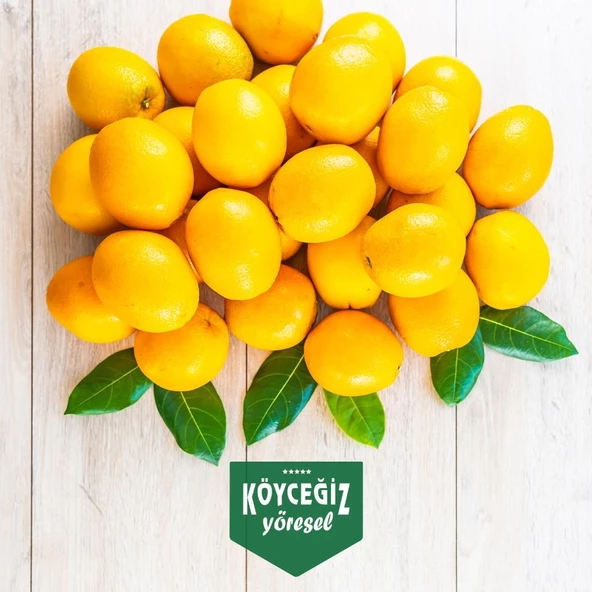 Kb Köyceğiz Yöresel Köyceğiz Portakalı 4 KG - Resim 4