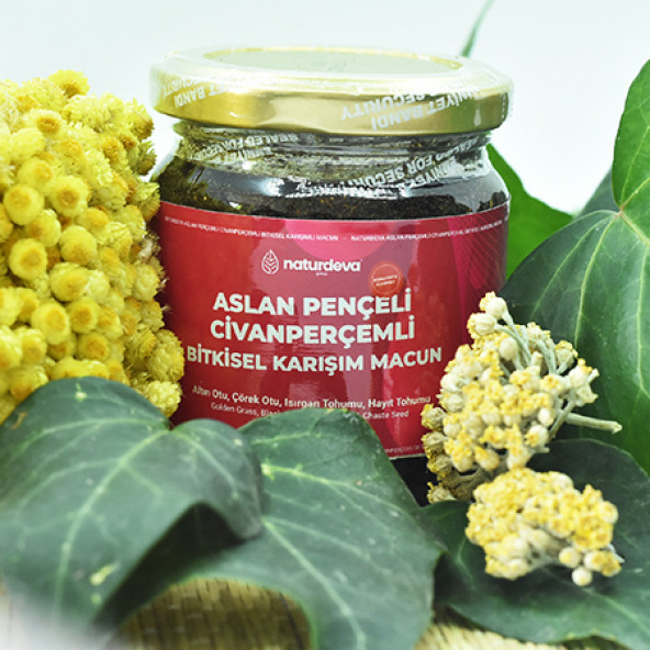 Naturdeva Aslan Pençeli Civanperçemli Bitkisel Karışımlı Macun - 2