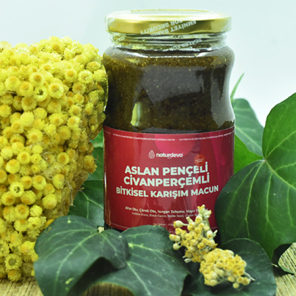 Naturdeva Aslan Pençeli Civanperçemli Bitkisel Karışımlı Macun - 2