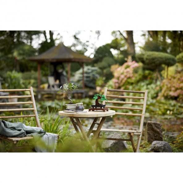 Lego Bonsai Ağacı 10281 - Yetişkinler için Hobi ve Sergi Amaçlı kendin Yap Dekoratif Botanik Yapım Seti (878 Parça) - 5