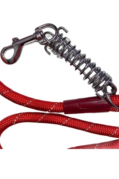 Nunbell Renkli Fitil Köpek Gezdirme Yaylı 12mm*120cm - Resim 2