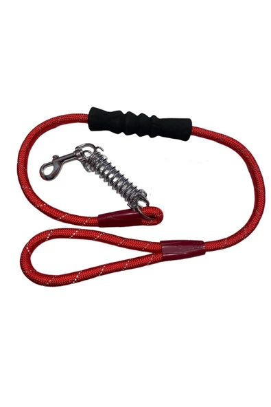 Nunbell Renkli Fitil Köpek Gezdirme Yaylı 12mm*120cm - Resim 3