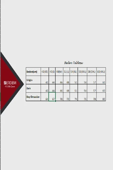 Erdem Erkek Lux Kapalı Yaka Kısa Kol Fanila Atlet - 6 Adet  Siyah 2XL - Resim 4