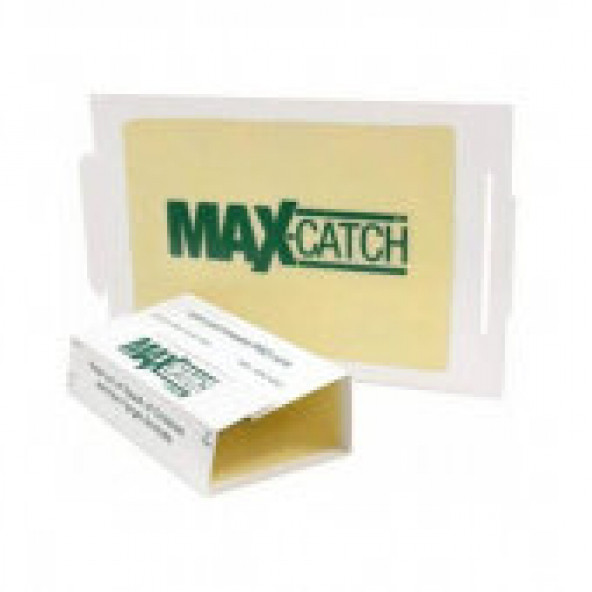 Maxcatch Catchmaster 72 Max Fıstık Aromalı Fıstık Kokulu Fare Yapışkanı Fare Yakalama Tuzağı 5 Adet