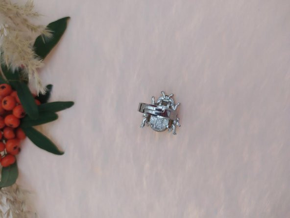 Yüzük Gümüş Renk Uğurböceği Figürlü Yüzük Kristalli Ayarlanabilir Çocuk Yüzük - Resim 3