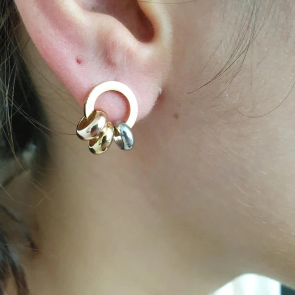 Roma Rakamlı Üçlü Halkalı Küpe - 8