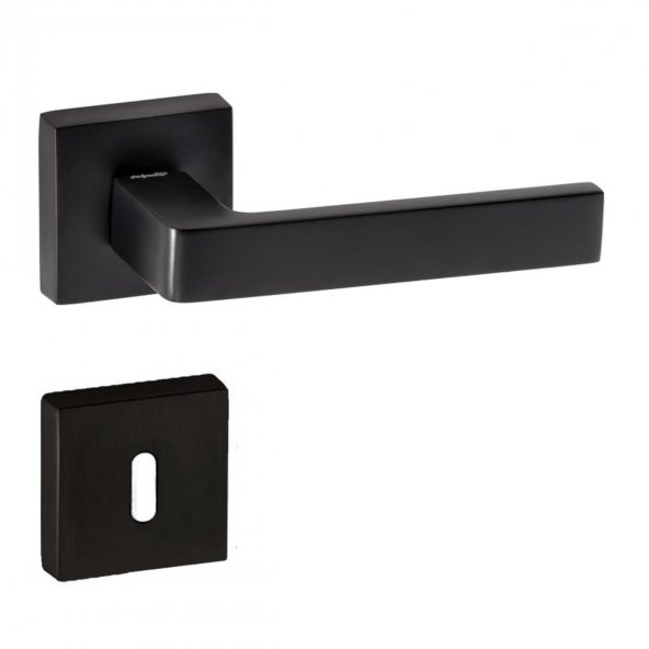 Doğanlar Karma Lüx Kare Rozetli Kapı Kolu Mat Siyah Oda - 2