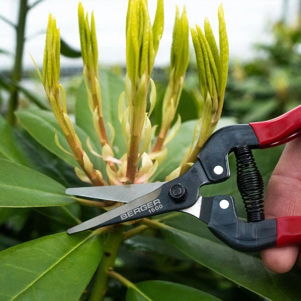 Berger 1600 Üzüm ve Naranciye Toplama  Makası 20 cm - 4