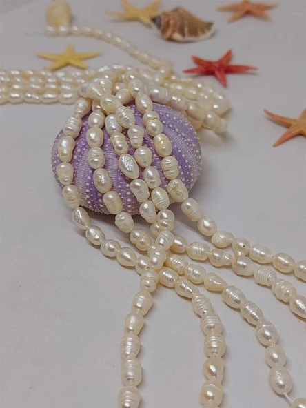 İnci Dizi Beyaz 5*8mm (53342) - Resim 2