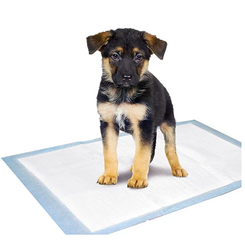 Köpek Tuvalet Çiş Eğitim Pedi XLarge 60x90 cm 20 Adet - 2