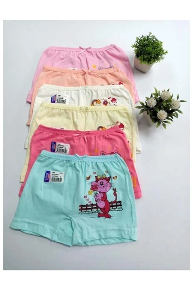 Sedef Yıldızı Kız Çocuk Baskılı Karışık Renkli Boxer 1045 - 12 Adet   Karışık Renk 5 (9-10 YAŞ) - Resim 3