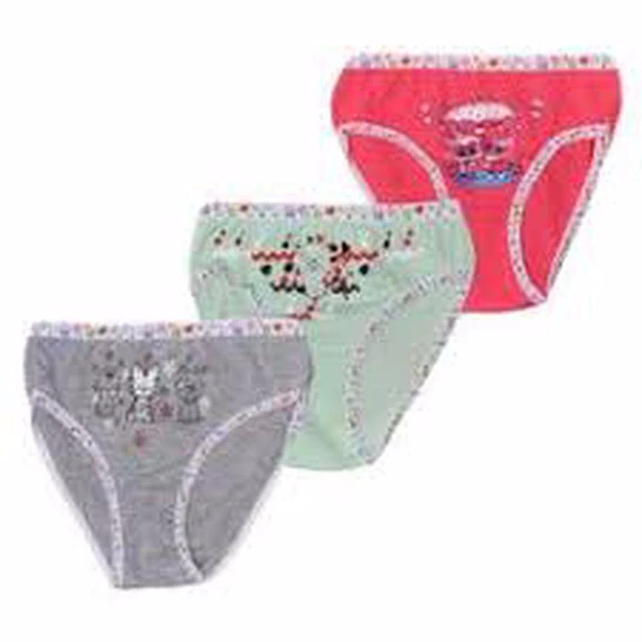 Tutku Kız Çocuk Renkli Likralı Slip Külot 6'Lı   Karışık Renk 2 (3-4 YAŞ) - Resim 4