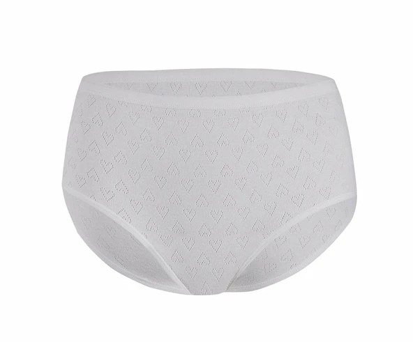 12 Adet Yıldız Kalpli Yüksek Bel Bato Külot  M Ten - Resim 3