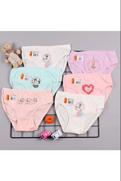 İlke Kız Çocuk Likralı Baskılı Bikini Külot 351 - 6 Adet  Karışık Renk 3 No:4-5 Yaş ürün görseli
