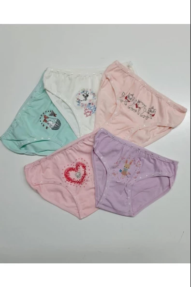 İlke Kız Çocuk Likralı Baskılı Bikini Külot 351 - 6 Adet  Karışık Renk 2 No:2-3 Yaş - 2