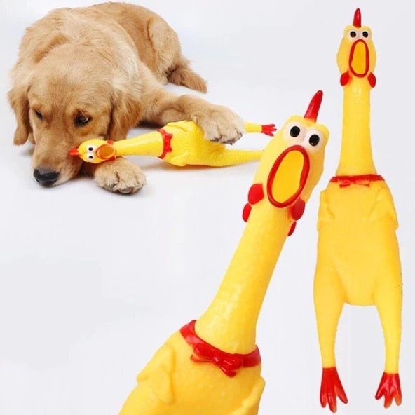 Öten Tavuk Köpek Oyuncağı Medium 30 cm - 3