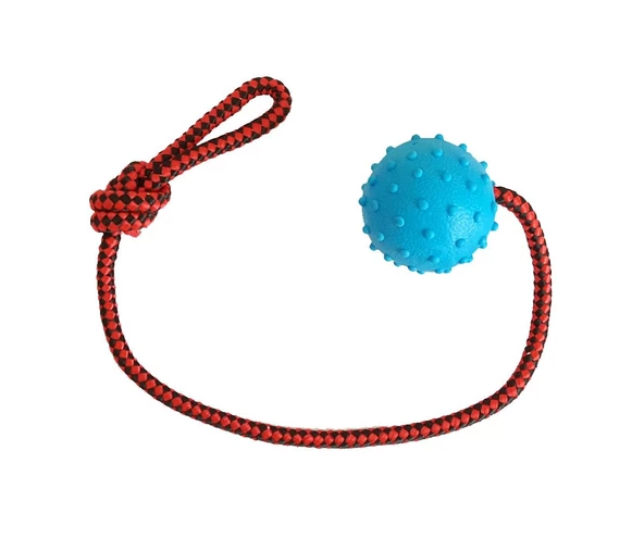 Köpek Diş İpi Toplu 45cm - Resim 2