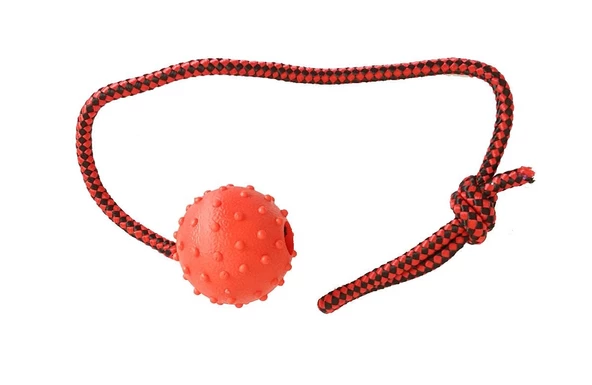 Köpek Diş İpi Toplu 45cm ürün görseli