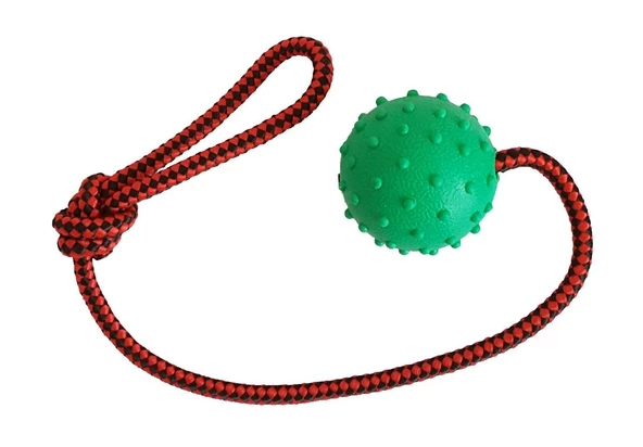 Köpek Diş İpi Toplu 45cm - Resim 3