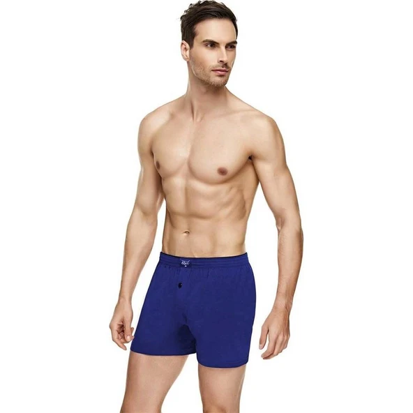 3'Lü Tutku Elit Havlu Bel 1101 Düğmeli Erkek Boxer  XL Füme - Resim 8