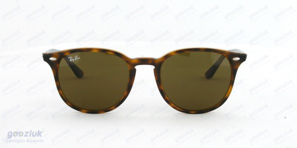 Unisex RAY-BAN 4259 710/73