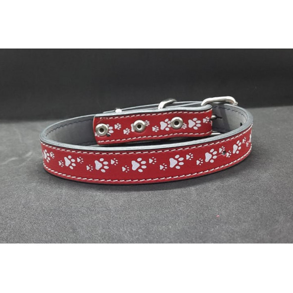 Zekton Ayarlanabilir Kırmızı Suni Deri Pati Desenli Küçük Irk Tasması - 3