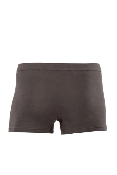 Anıt Erkek Pamuklu Boxer 1271 - 3 Adet  L Gri - Resim 3