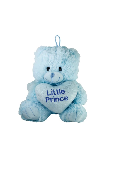 PELUŞ 25 CM KALPLİ RENKLİ AYI