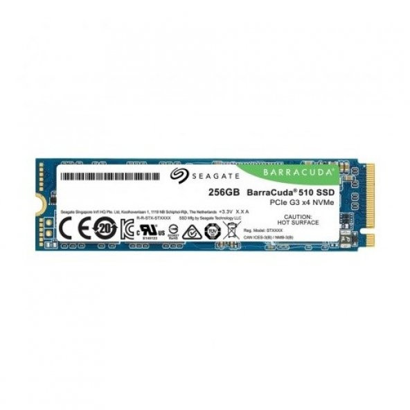 Seagate Barracuda 510 256GB NVMe M.2 2280 3100/1050 ZP256CM30041 SSD Disk - 1