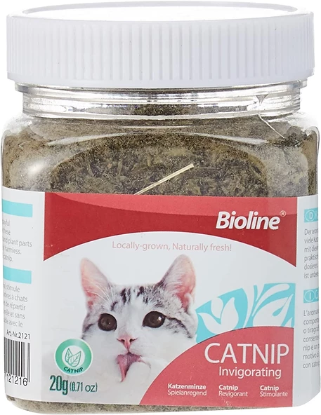 Bioline Catnip Kedi Otu 20 Gr.