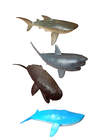 Minik Eller İçin Büyük Eğlence: 10'lu Deniz Hayvanları Seti - 2