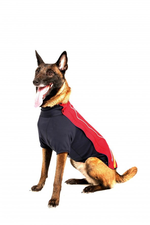 Doxy Büyük Irk Slim Fit Fermuarlı Köpek Montu  mavi 40 Cm - 1