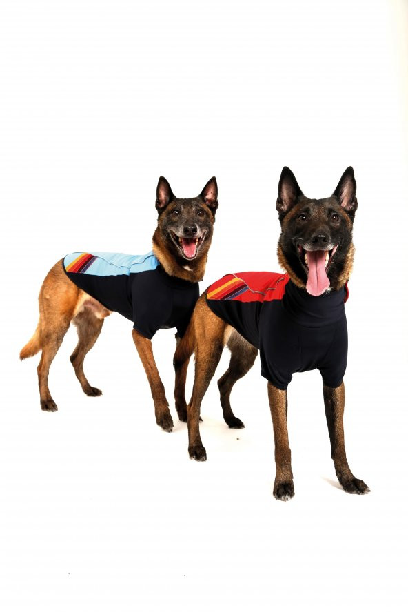 Doxy Büyük Irk Slim Fit Fermuarlı Köpek Montu  mavi 40 Cm - 2