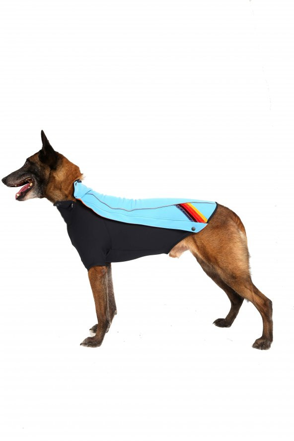 Doxy Büyük Irk Slim Fit Fermuarlı Köpek Montu  mavi 40 Cm - 9