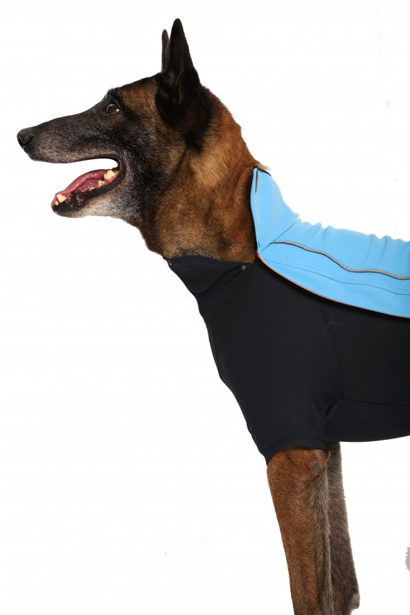 Doxy Büyük Irk Slim Fit Fermuarlı Köpek Montu  mavi 40 Cm - 12