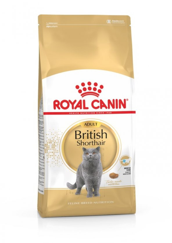 Royal Canin British Shorthair Adult Yetişkin Kedi Maması 2 Kg