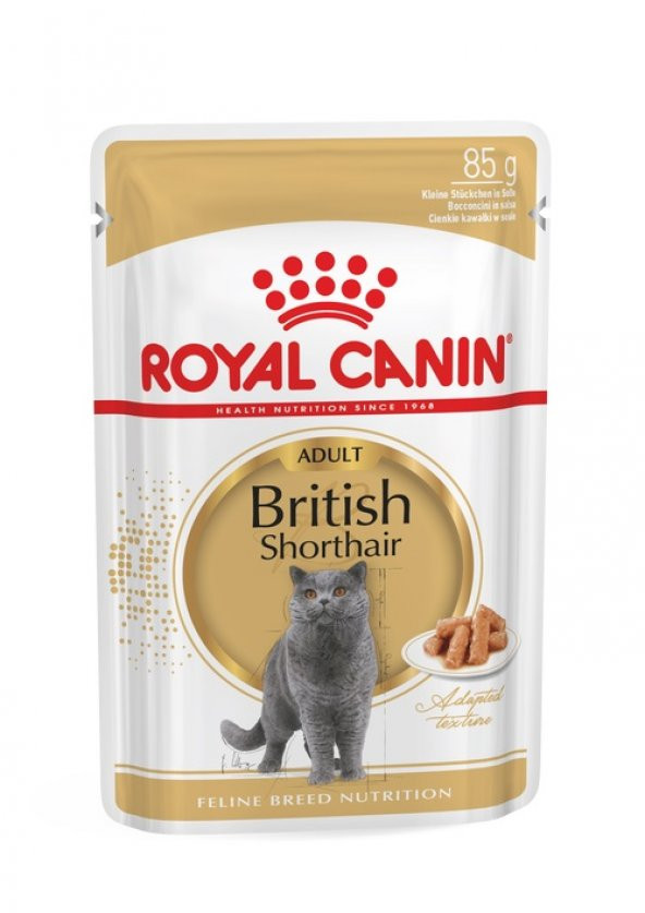 Royal Canin British Shorthair Konserve Kedi Maması 85 Gr X 12 Adet Konserve