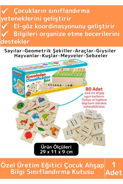 Premium Eğitici Zeka Koordinasyon Geliştirici Kişisel Gelişim Çocuk Ahşap Bilgi Sınıflandırma Kutusu ürün görseli